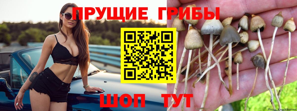 Галлюциногенные грибы Cubensis  как найти закладки  Чусовой  Вход с VPN 
